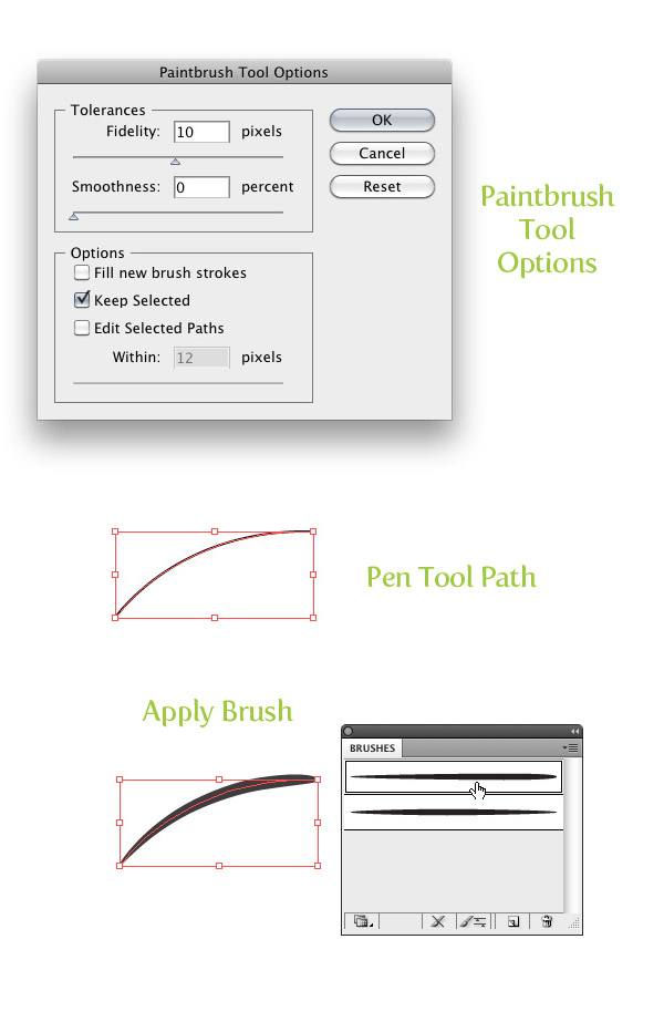 How to Draw Smooth Lines Using the Paintbrush Tool in Illustrator