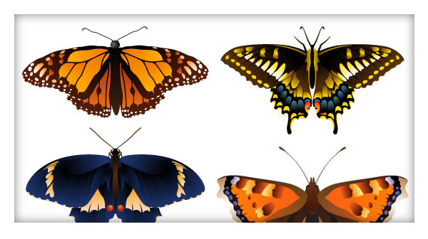 Vector Butterflies