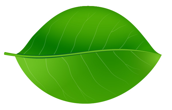 Green Leaf Vector veins